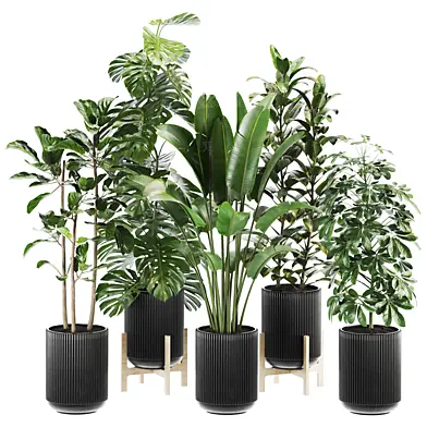 Plants Set 26