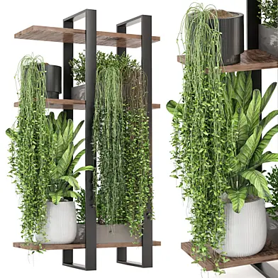 indoor  plants in metal shelf set 837
