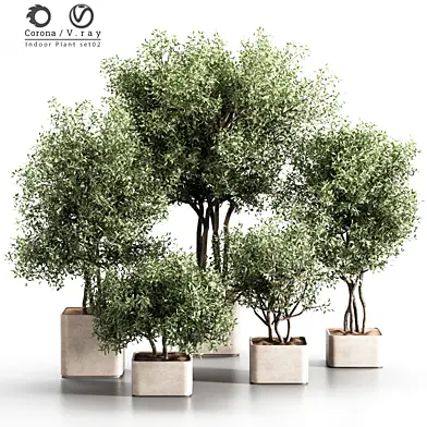 Indoor Plant Set 02
