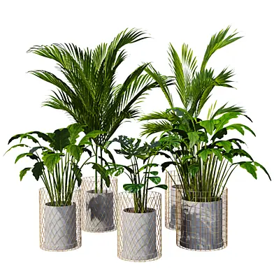 Indoor set 21