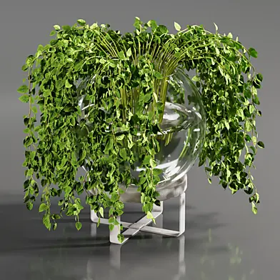 Indoor plant 08