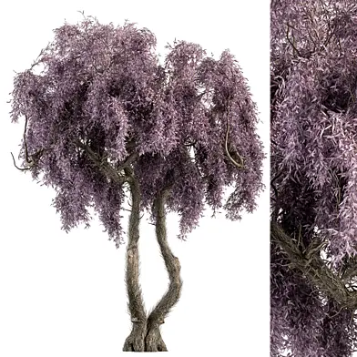 Purple Wisteria - Tree Set 169