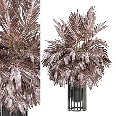 indoor Plants Collection - Set 882