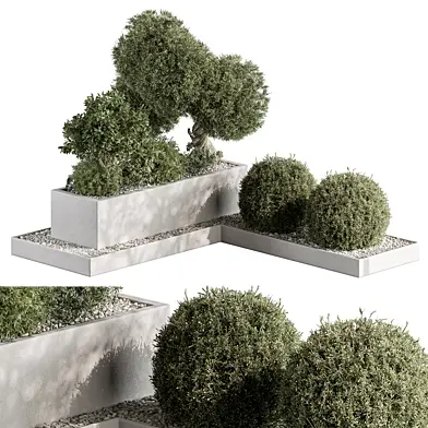 Plant Box Garden - Outdoor Plants 544