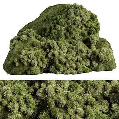 Ivy On Stones 03