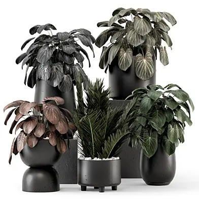 Indoor Plants in Ferm Living Bau Pot Large - Set 1539
