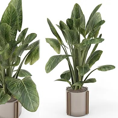 Indoor Plants in rusty Concrete Pot - Set 1605
