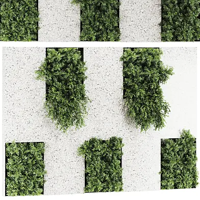Plants Set 60