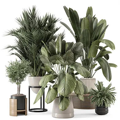 Indoor Plants in Ferm Living Bau Pot Large - Set 1623