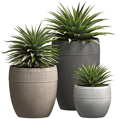 Красивое декоративное Растение Агава в горшках Restoration Hardware.Modern Flowerpot