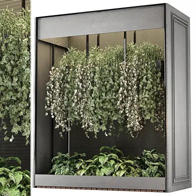 indoor hanging plants collecion_set 973