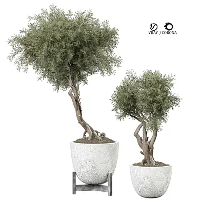 indoor Plant 406