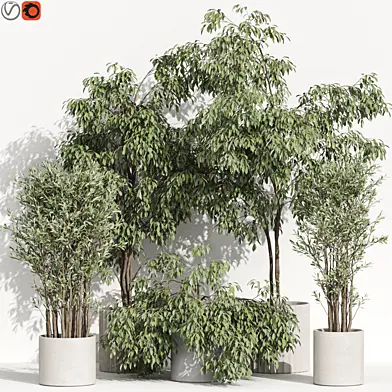 Plants collection 990