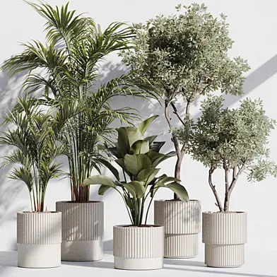 indoor plant set 74