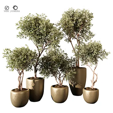 indoor Plant 415
