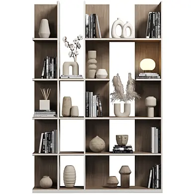 Cabinet with shelves 073
