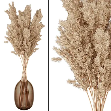 Pampas Plant in glass vase