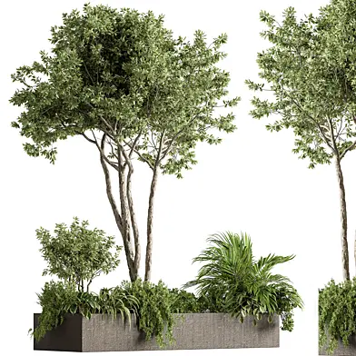 Plant Box - Outdoor Plants 563