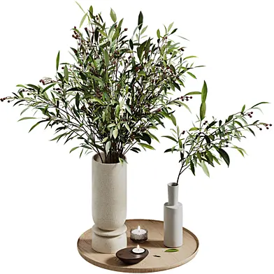 Eucaliptus decor set
