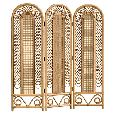 Urban Renewal Vintage Cane Rattan Screen