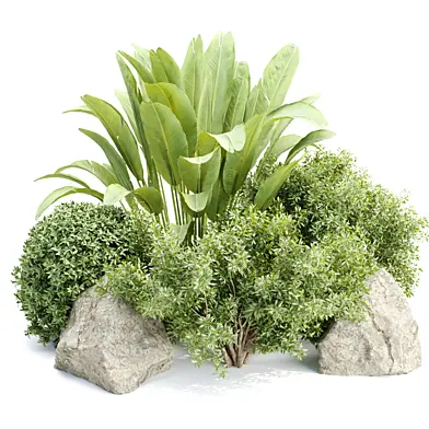 Plants for outdoor collection vol 233
