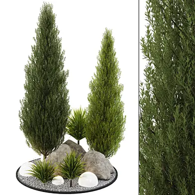 backyard and landscape garden tree and bush 220