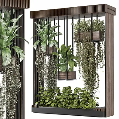 indoor hanging Plants Collection set_1033
