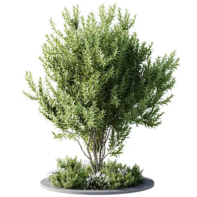 Town Square and Outdoor Plants 2