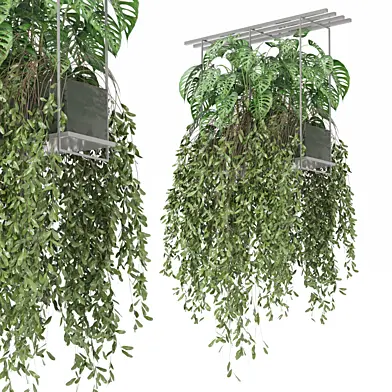 indoor hanging plants in metal box  Set 1046