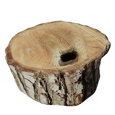 trunk 81