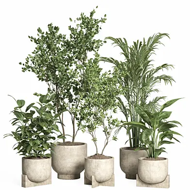 indoor plant set 60-Concrete pot