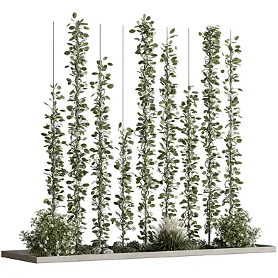 Plant Garden - Outdoor Plants 579