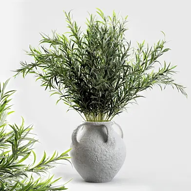 Branches in vases 06