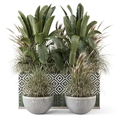Outdoor Plants Bush in Handmade Stone Pot - Set 1800
