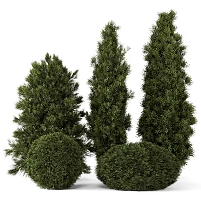Outdoor Plants Pine Bush and Tree -Bush Set 1801