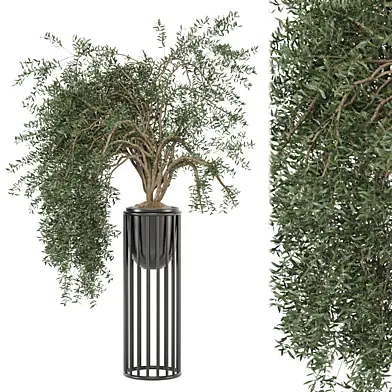 indoor Plants Collection - Set 1082