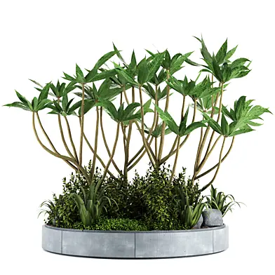 Out Door Plants tree and bush set02