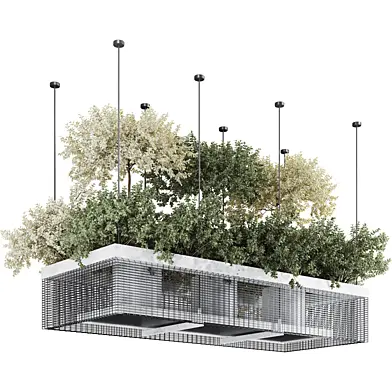 Hanging Plant Set 241