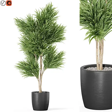 Plants collection 1006