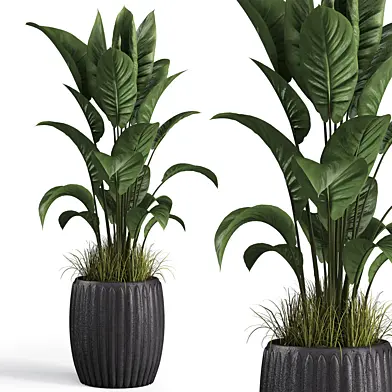 Indoor plant set 04