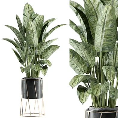 indoor plant - set 93
