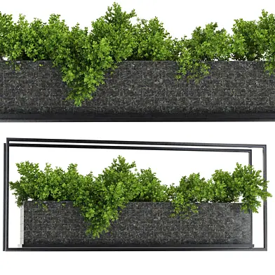 Indoor Hanging Plants in Metal Box set67