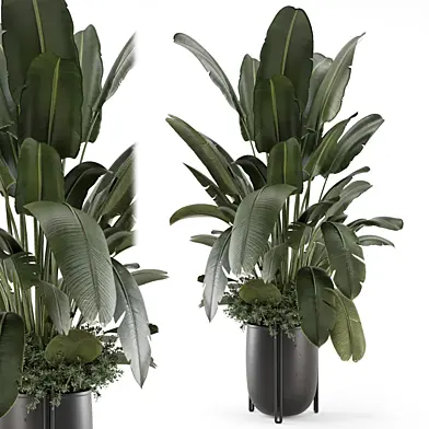 Indoor Plants in Ferm Living Bau Pot Large - Set 1892