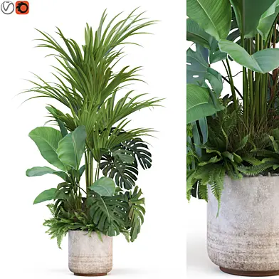 Plants collection 1021