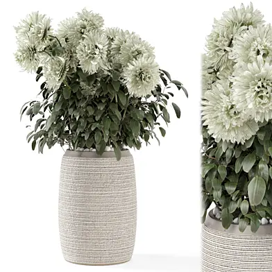 Indoor Plants  in Handmade Stone Pot - Set 1899