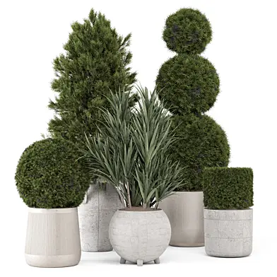 Outdoor Plants Pine Bush and Tree -Bush Set 1905