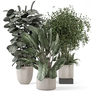 Indoor Plants  in Handmade Stone Pot - Set 1913