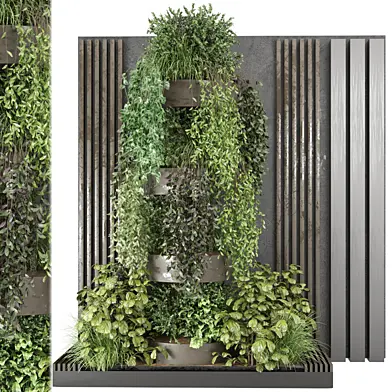 indoor Plants Collection - Set 1133
