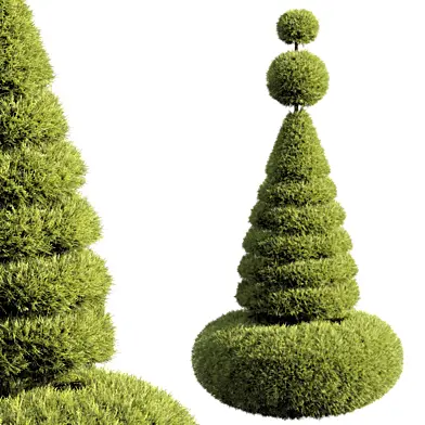 bush tree 026