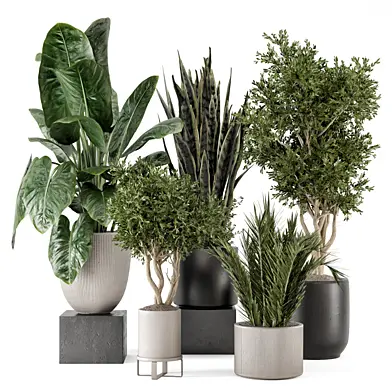 Indoor Plants in Ferm Living Bau Pot Large - Set 1916